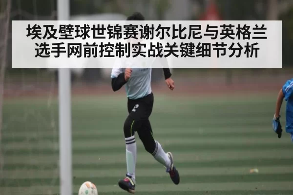埃及壁球世锦赛谢尔比尼与英格兰选手网前控制实战关键细节分析
